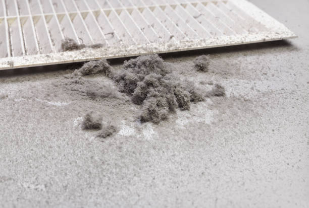 Best Air Vent Cleaning Services  in Blue Earth, MN