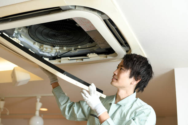 Best Home Air Vent Cleaning  in Blue Earth, MN