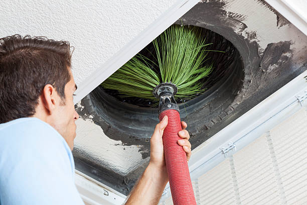 Best Air Duct Cleaning Near Me  in Blue Earth, MN